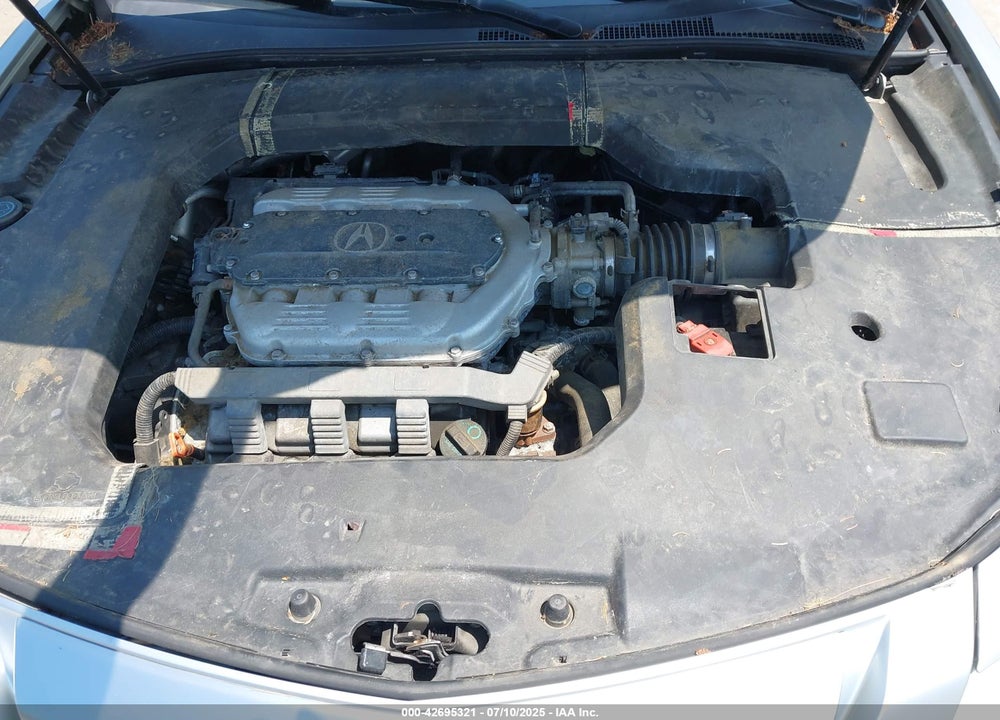 2010 ACURA TL VIN: 19UUA8F56AA011713