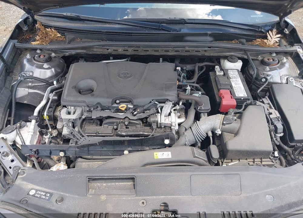 2020 TOYOTA CAMRY VIN: 4T1C11AK7LU339279