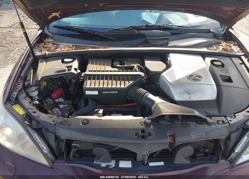 2008 LEXUS RX VIN: JTJHW31U382065555