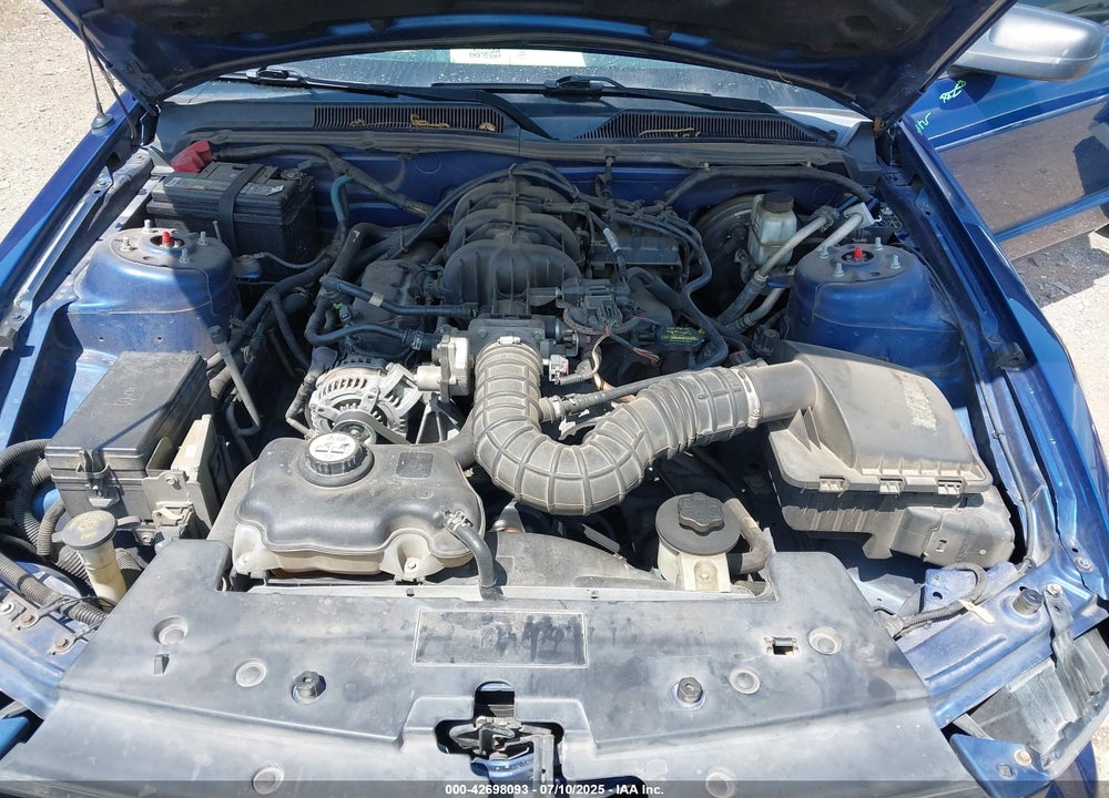 2009 FORD MUSTANG VIN: 1ZVHT80N395123440