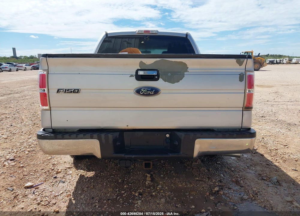 2010 FORD F-150 VIN: 1FTEW1C89AKE54331
