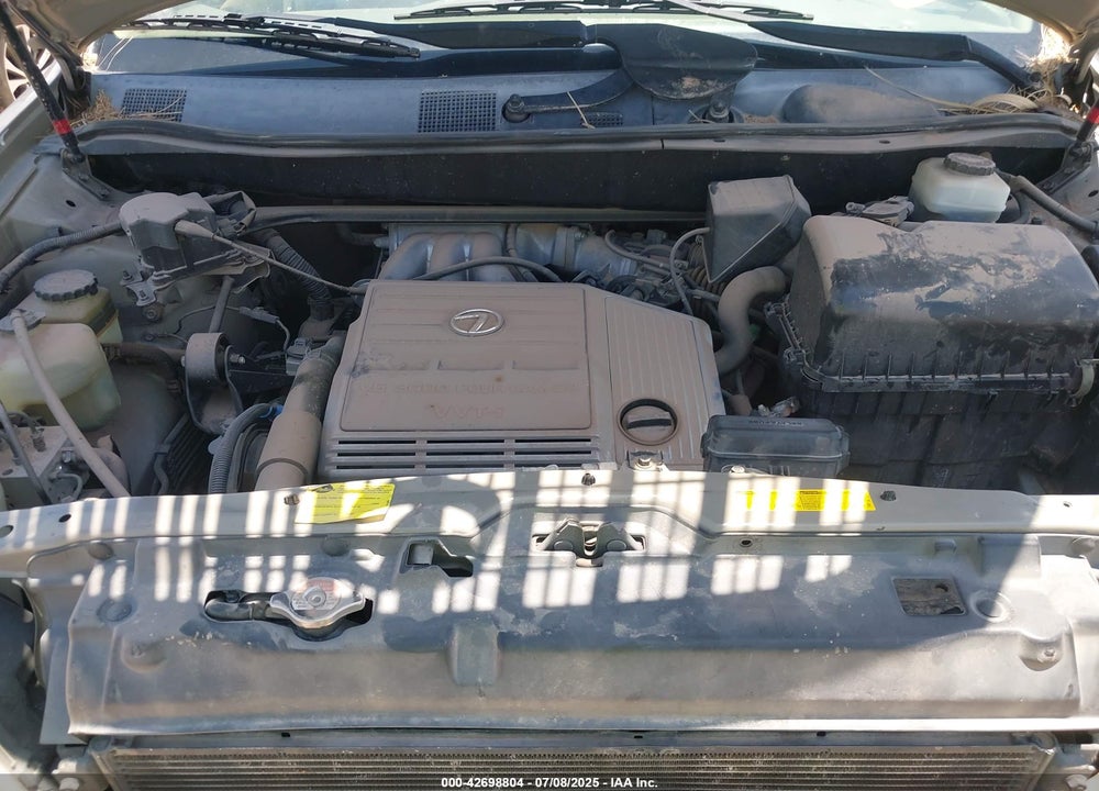 2001 LEXUS RX 300 VIN: JTJGF10U110087797