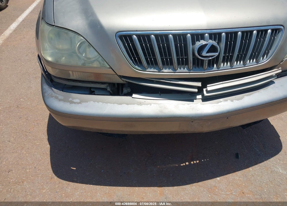 2001 LEXUS RX 300 VIN: JTJGF10U110087797