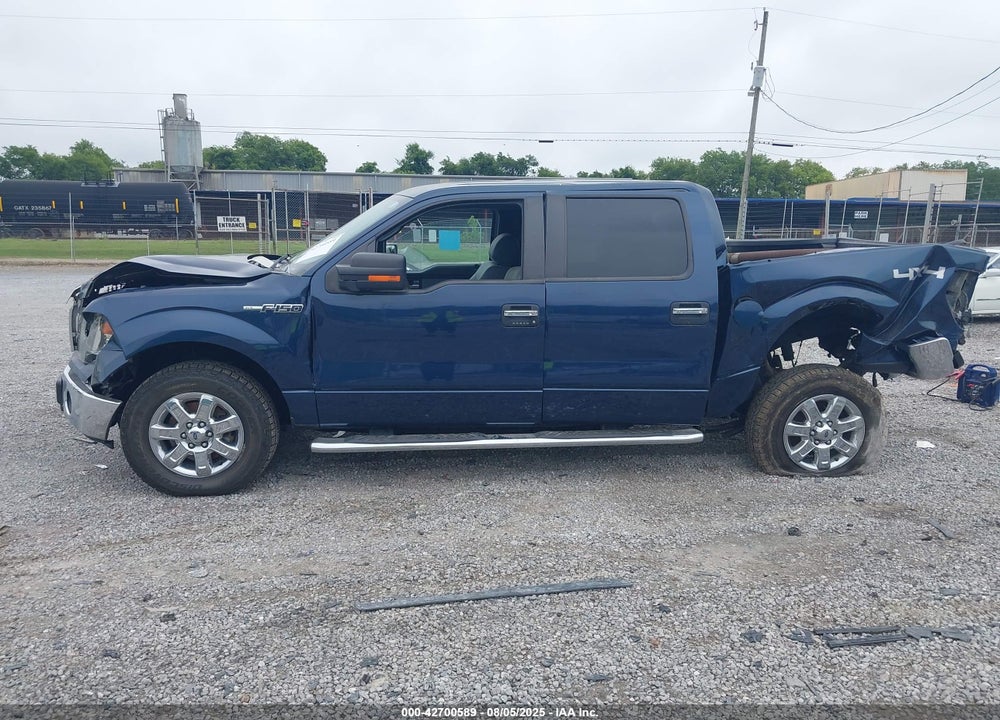 2014 FORD F-150 XLT VIN: 1FTFW1EF7EFC06934