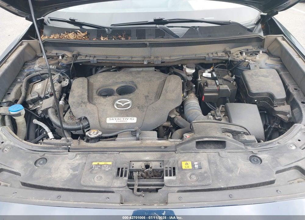 2021 MAZDA CX-9 VIN: JM3TCBCY9M0520065