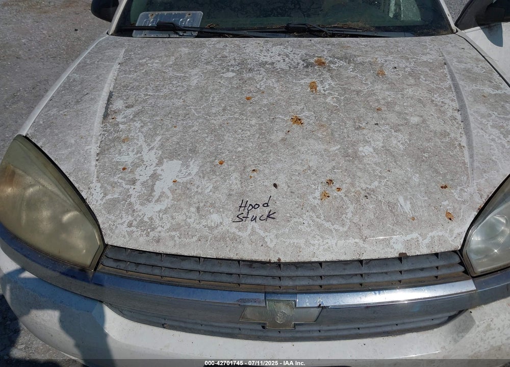 2004 CHEVROLET MALIBU VIN: 1G1ZS52F64F142669