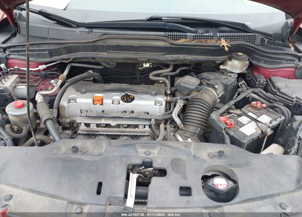 2010 HONDA CR-V VIN: 5J6RE4H71AL029177