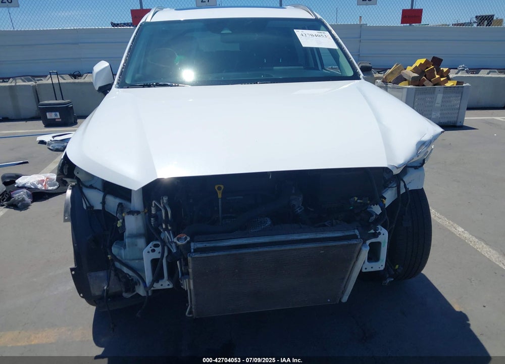 2020 HYUNDAI PALISADE VIN: KM8R34HE0LU040934