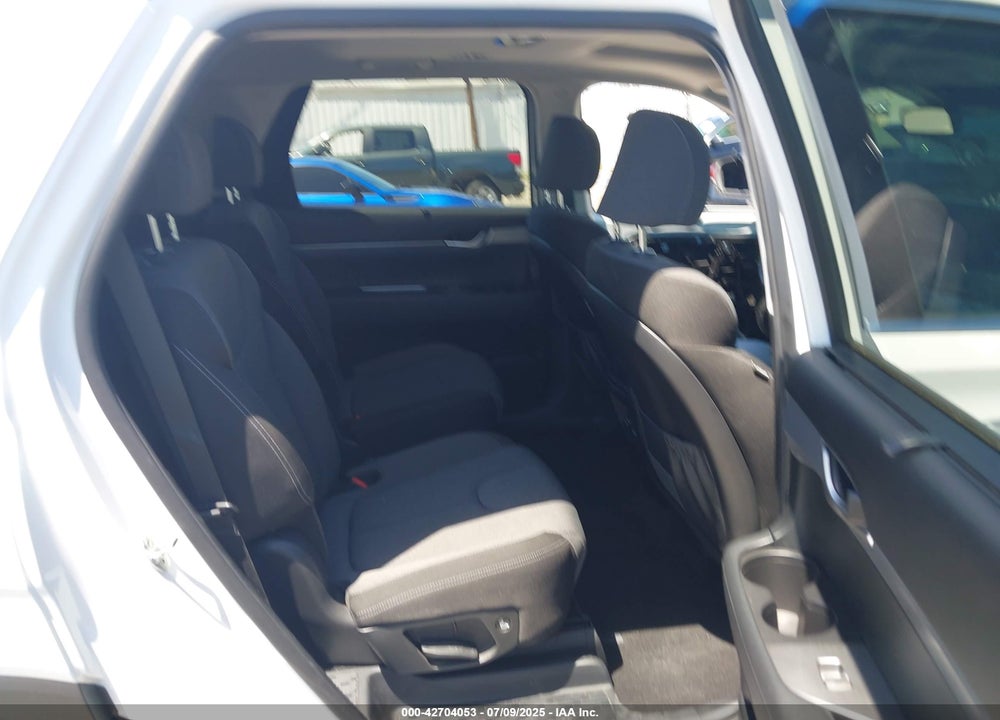 2020 HYUNDAI PALISADE VIN: KM8R34HE0LU040934