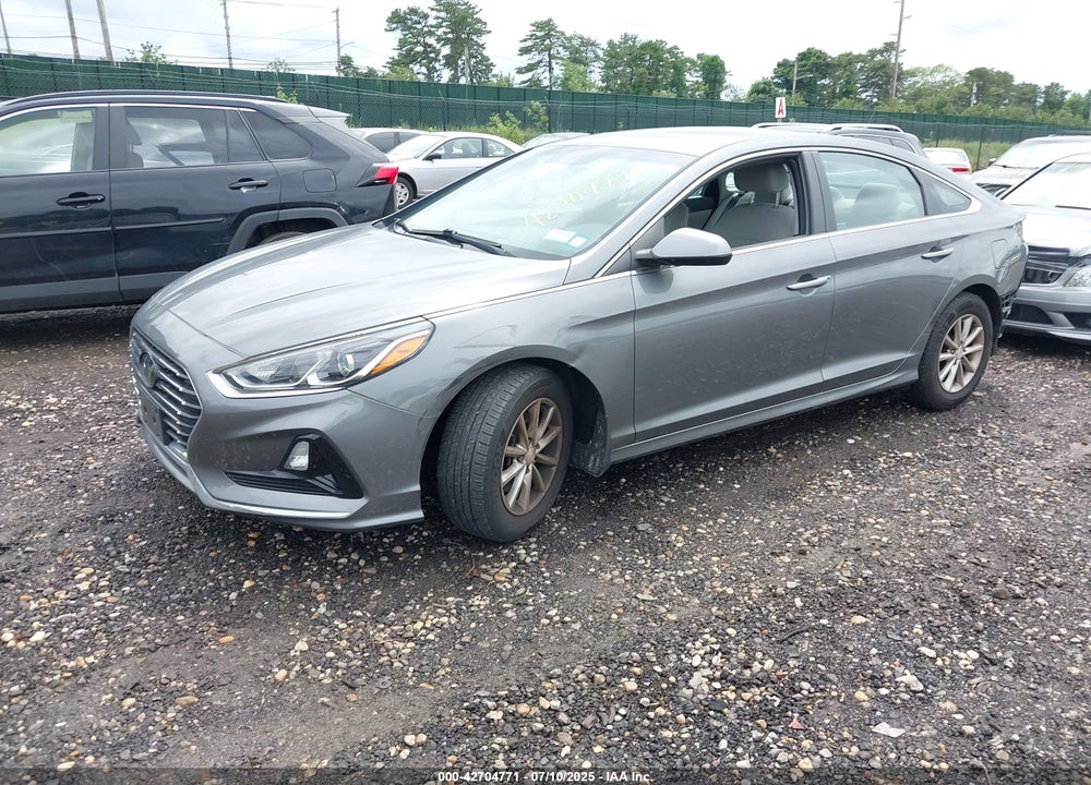 2019 HYUNDAI SONATA VIN: 5NPE24AF7KH807051