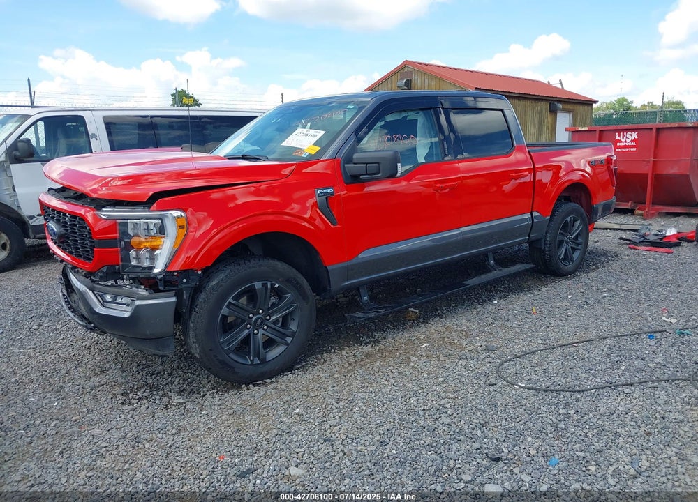 2023 FORD F-150 XLT VIN: 1FTFW1E52PKF85133