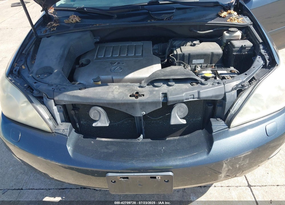 2007 LEXUS RX VIN: 2T2HK31U57C027903