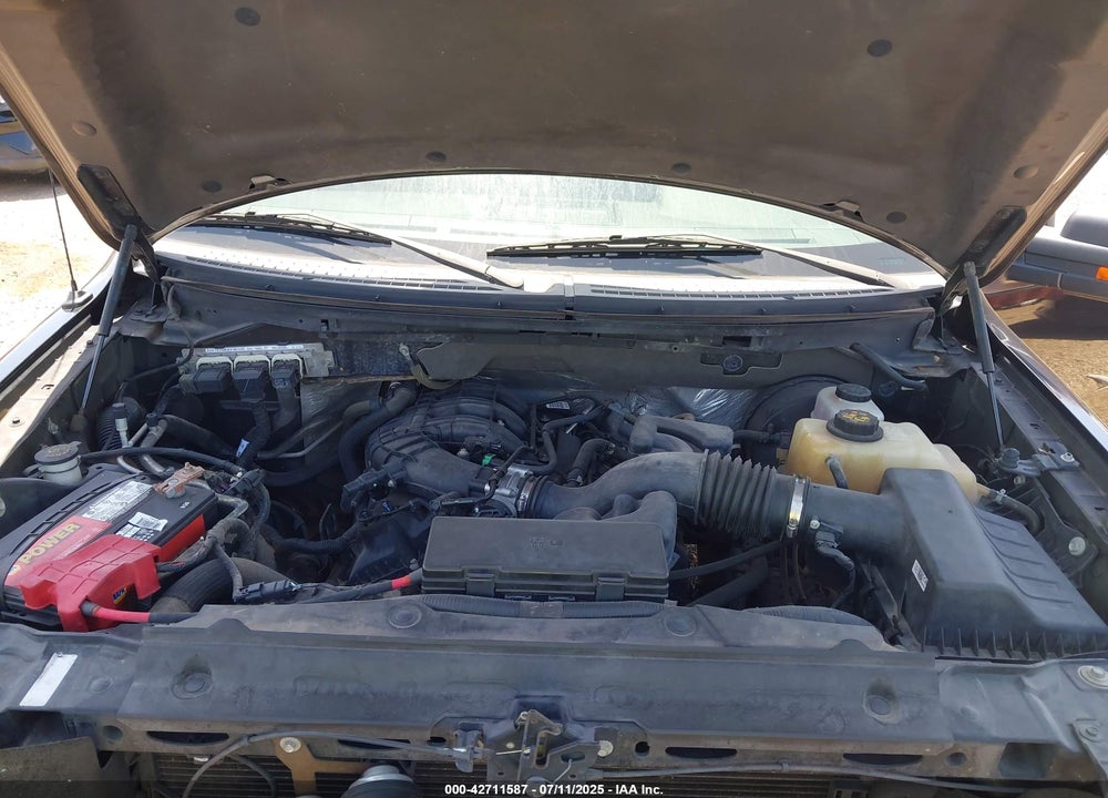 2012 FORD F-150 VIN: 1FTEX1CM8CKE32401