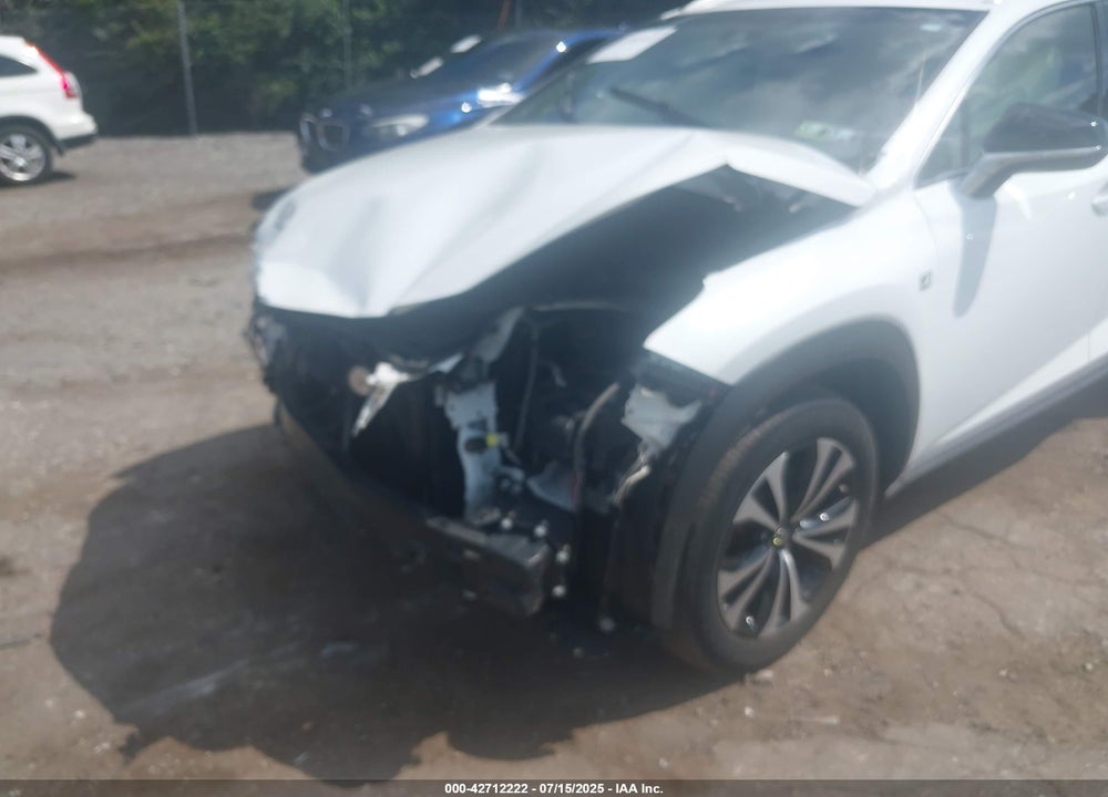 2019 LEXUS NX300 VIN: JTJBARBZ6K2207650