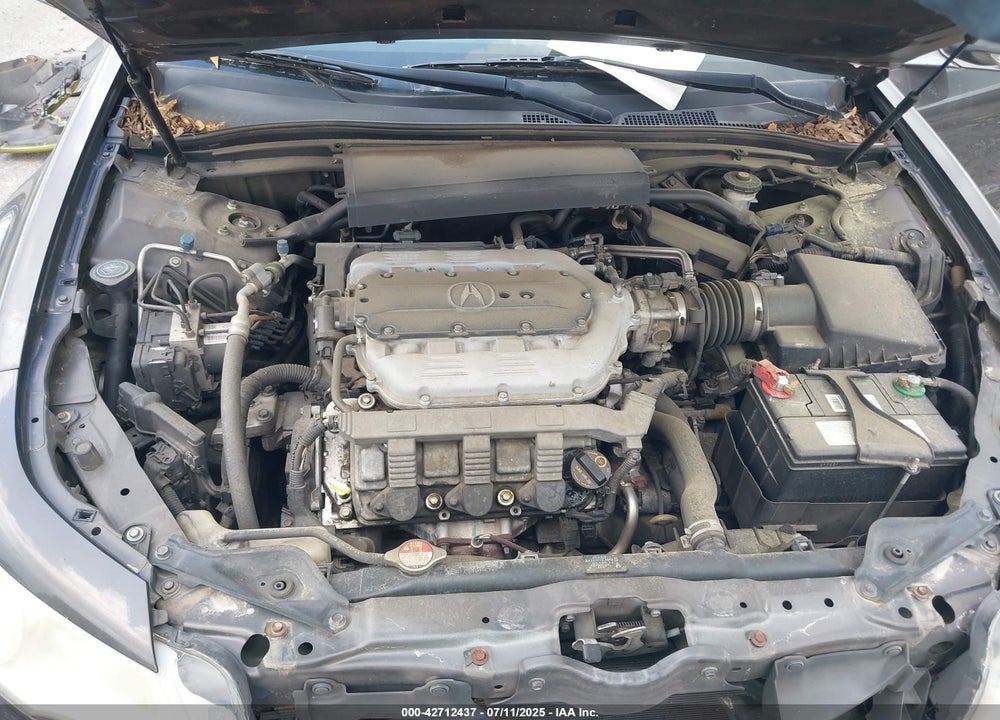 2010 ACURA TL VIN: 19UUA8F54AA003593