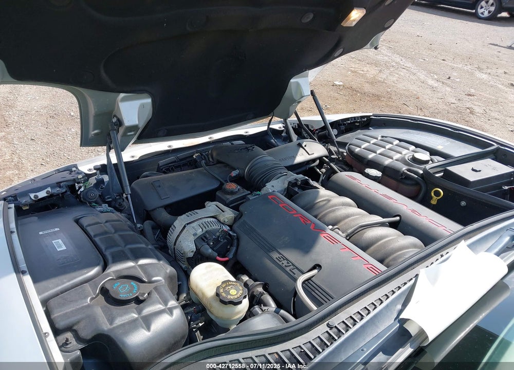 1999 CHEVROLET CORVETTE VIN: 1G1YY22G7X5102984