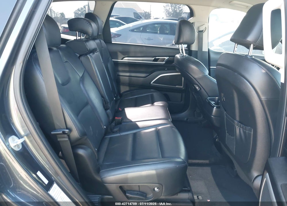 2020 KIA TELLURIDE VIN: 5XYP2DHCXLG010130