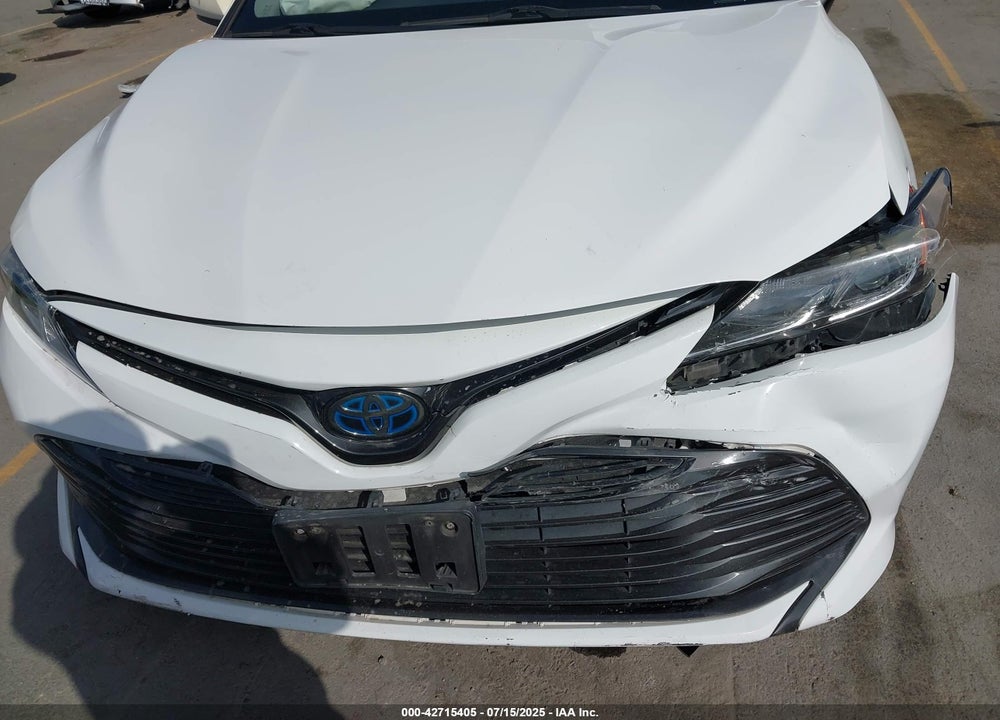 2019 TOYOTA CAMRY HYBRID VIN: 4T1B31HK0KU007453