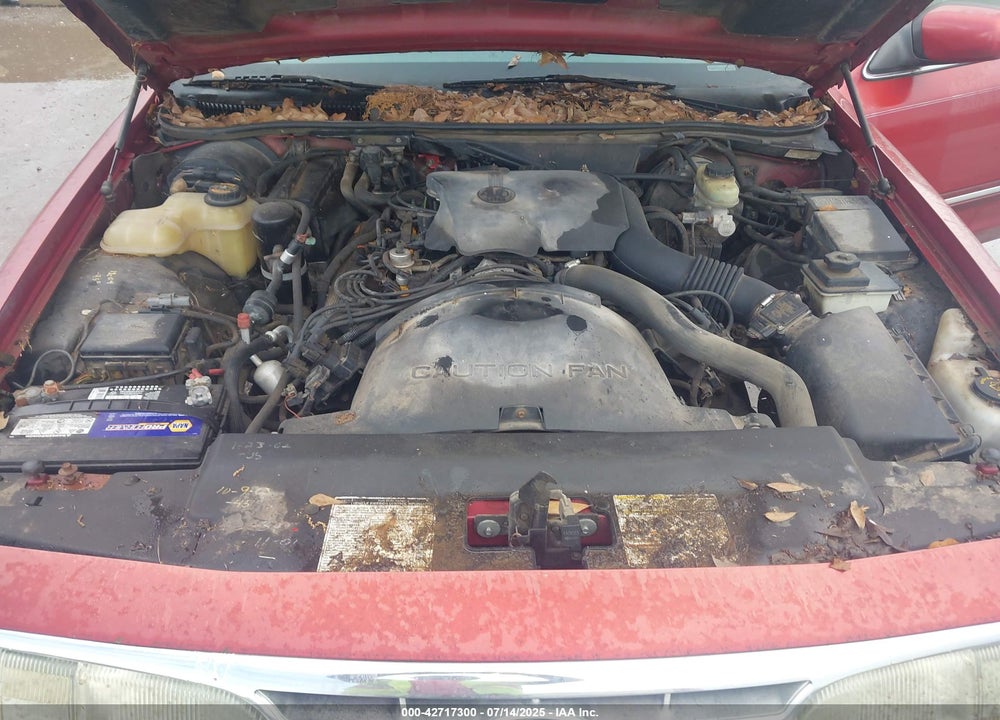 1996 FORD CROWN VICTORIA VIN: 2FALP74W1TX126363