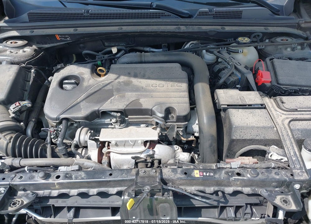 2019 CHEVROLET MALIBU VIN: 1G1ZD5ST7KF116059