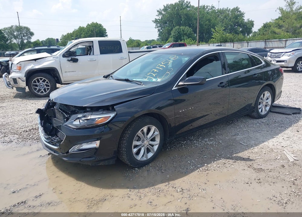 2019 CHEVROLET MALIBU VIN: 1G1ZD5ST7KF116059