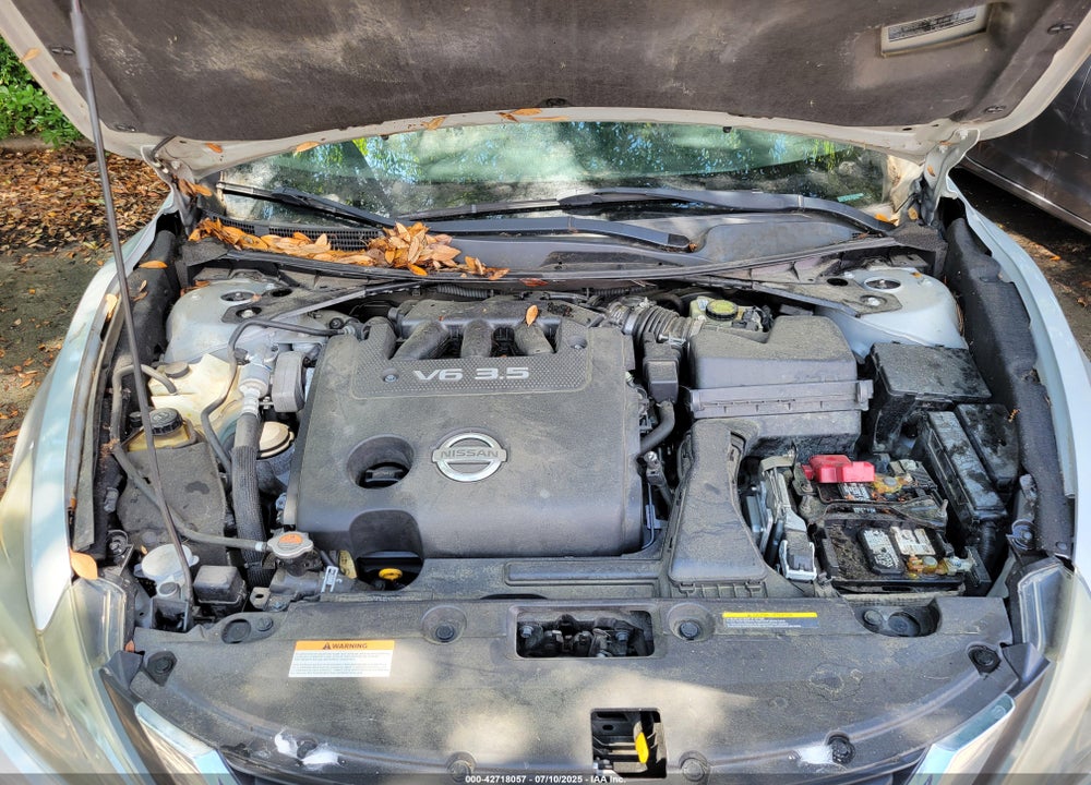 2016 NISSAN ALTIMA VIN: 1N4BL3AP8GC158954