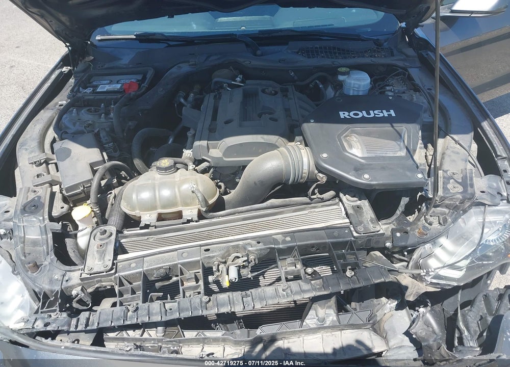 2019 FORD MUSTANG VIN: 1FA6P8TH5K5181274