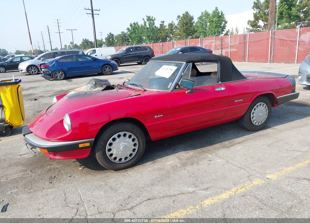 1989 ALFA ROMEO SPIDER GRADUATE VIN: ZARBA5641K1063205