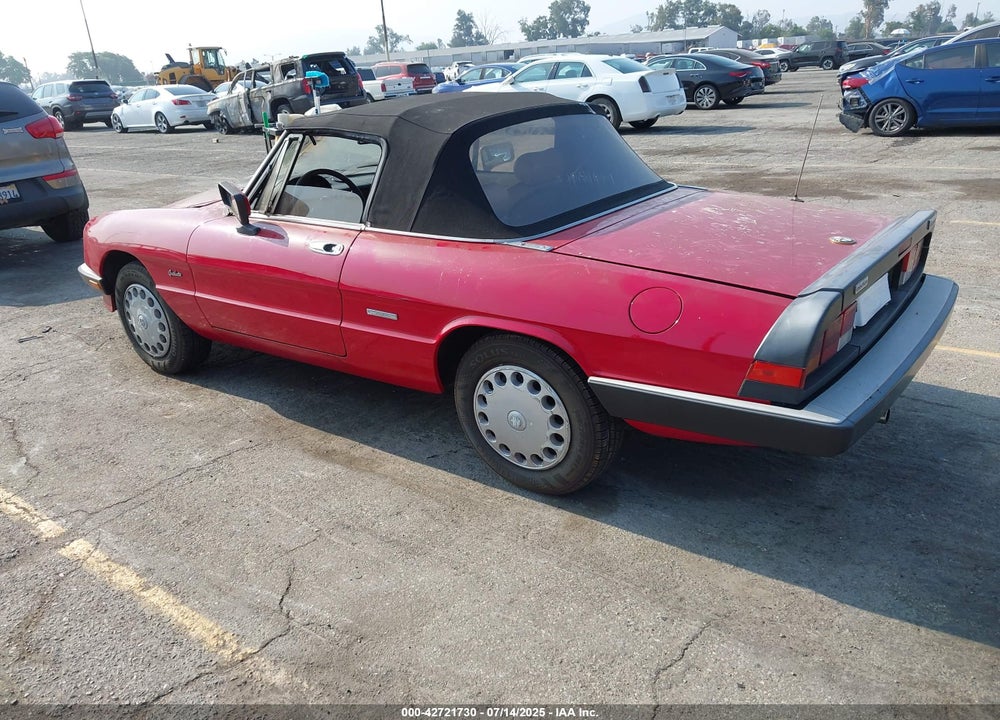 1989 ALFA ROMEO SPIDER GRADUATE VIN: ZARBA5641K1063205