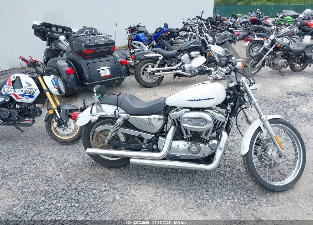 2004 HARLEY-DAVIDSON XL1200 C VIN: 1HD1CGP114K454608