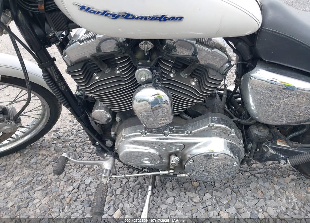 2004 HARLEY-DAVIDSON XL1200 C VIN: 1HD1CGP114K454608