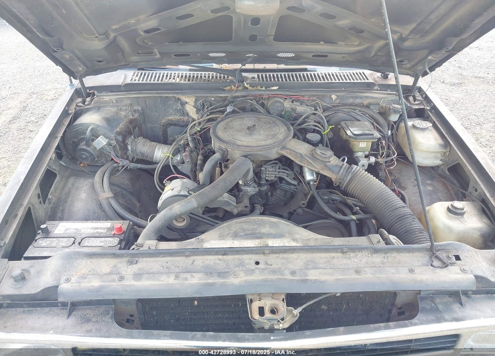 1984 CHEVROLET S TRUCK VIN: 1GCCS14BXE2170340