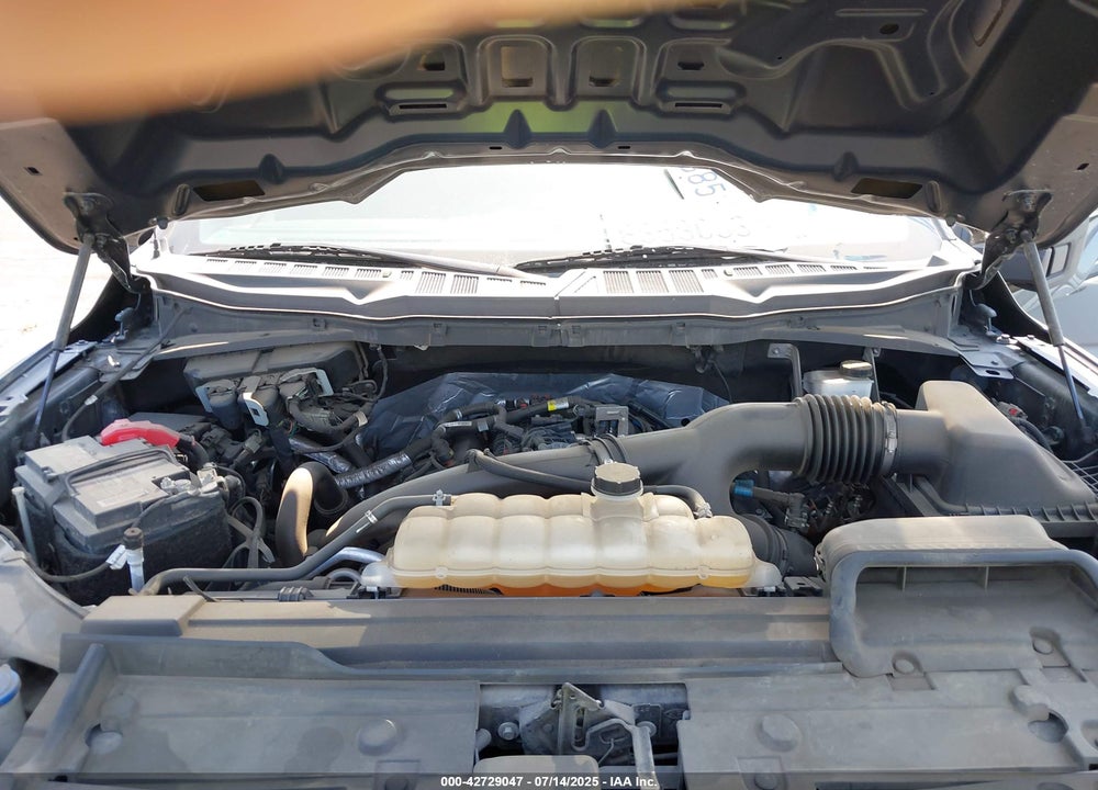2021 FORD F-150 XL VIN: 1FTEW1CP6MFA09100