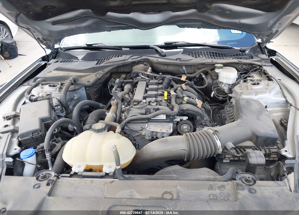 2022 FORD MUSTANG ECOBOOST FASTBACK VIN: 1FA6P8TH3N5142154