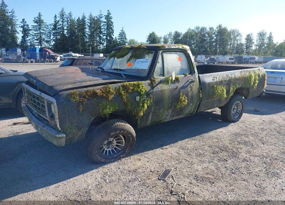 1981 DODGE W-SERIES W150 VIN: 1B7HW14E1BS132771