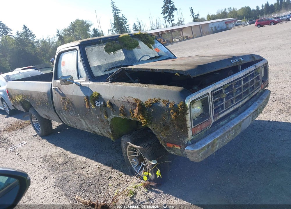 1981 DODGE W-SERIES W150 VIN: 1B7HW14E1BS132771