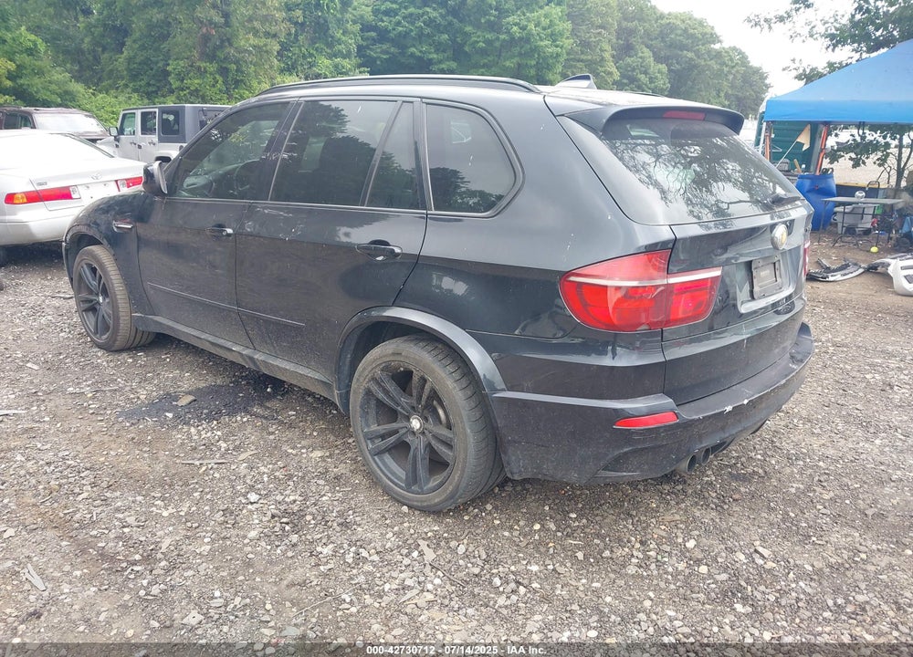 2010 BMW X5 M VIN: 5YMGY0C57ALK25117