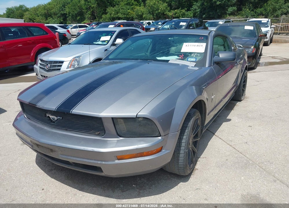 2006 FORD MUSTANG VIN: 1ZVFT80N665156077