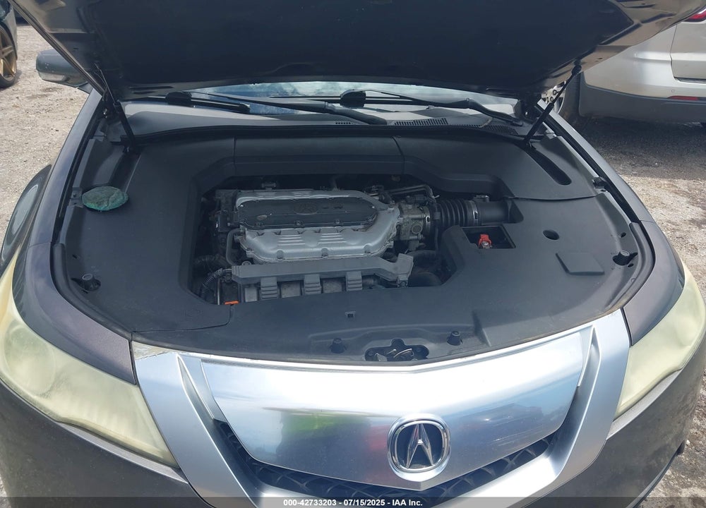 2009 ACURA TL VIN: 19UUA86229A013296