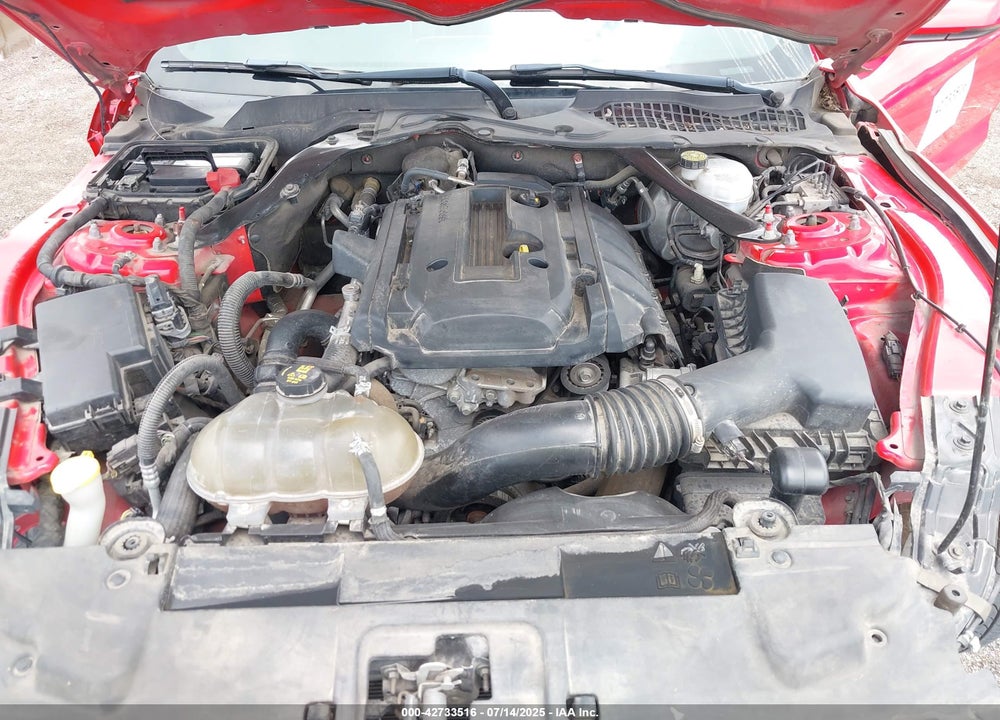2019 FORD MUSTANG VIN: 1FATP8UH9K5171929