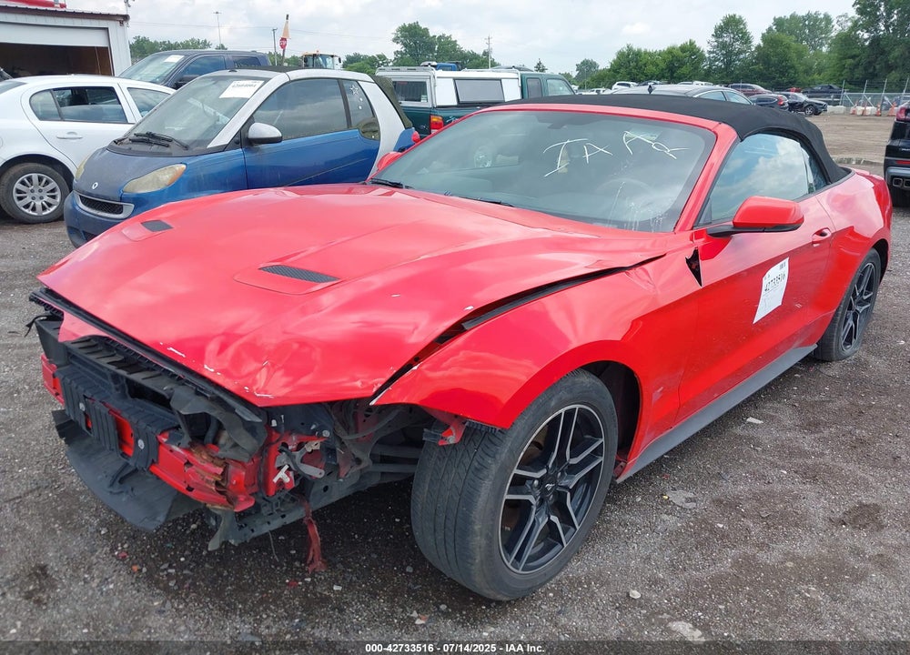 2019 FORD MUSTANG VIN: 1FATP8UH9K5171929