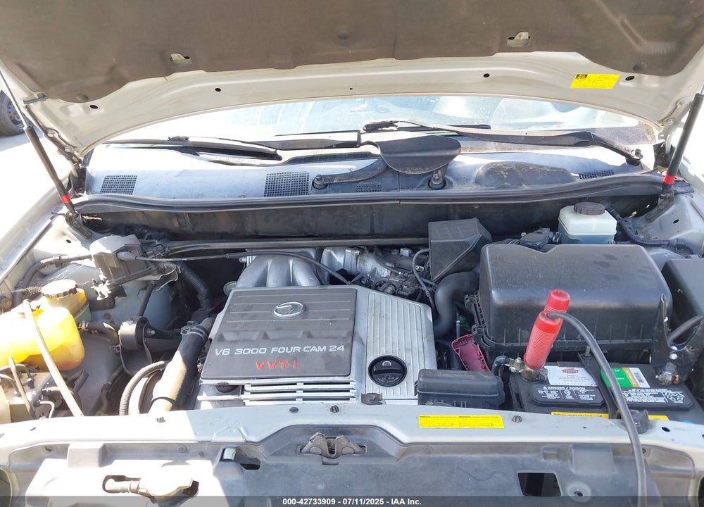 2001 LEXUS RX 300 VIN: JTJHF10U310234285