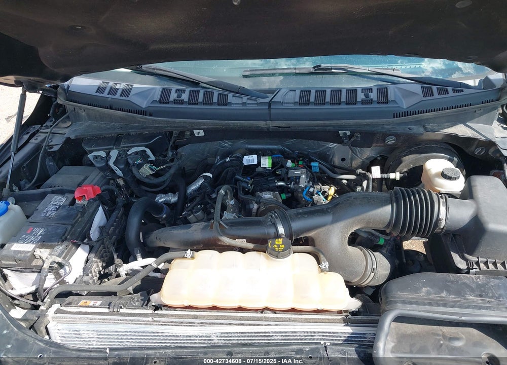 2019 FORD F-150 VIN: 1FTEW1CP3KFA53276