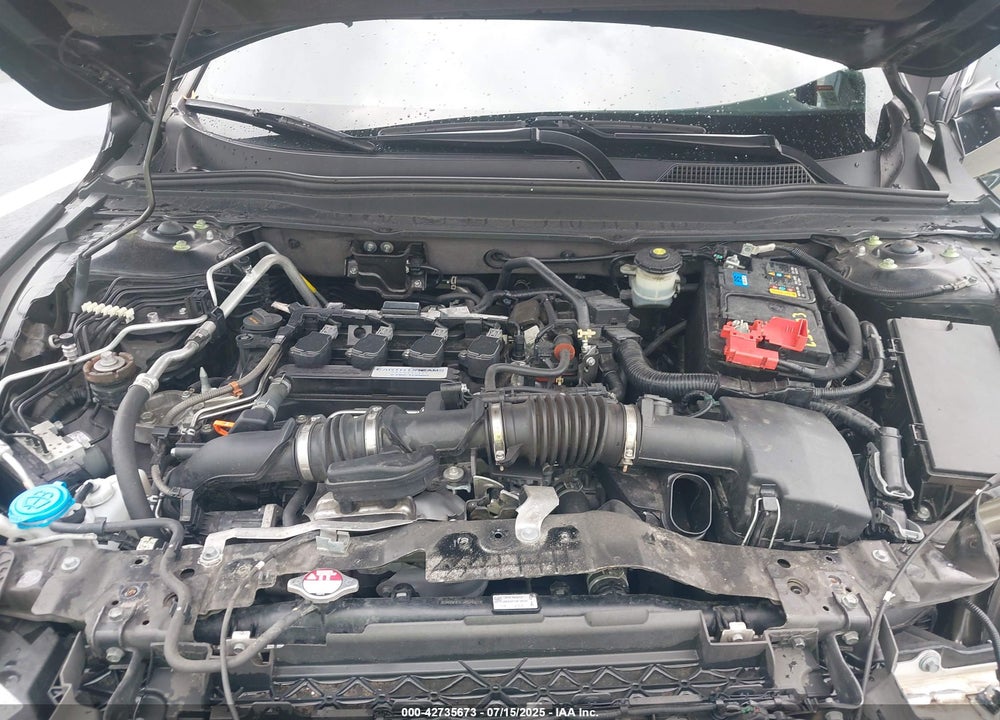 2019 HONDA ACCORD VIN: 1HGCV1F34KA029747