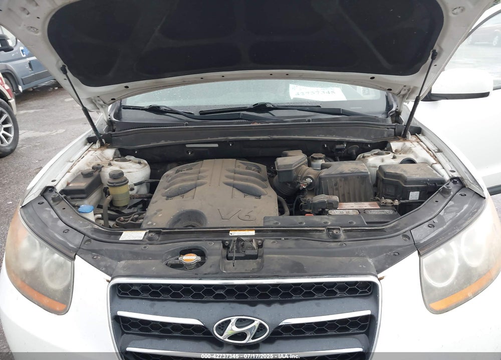 2009 HYUNDAI SANTA FE VIN: 5NMSH13EX9H331843