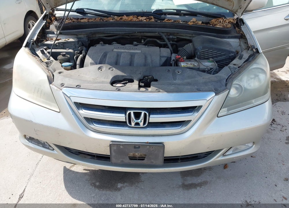 2006 HONDA ODYSSEY VIN: 5FNRL388X6B082419