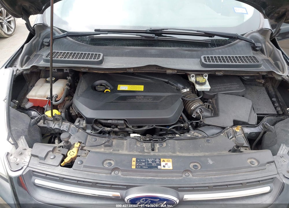 2014 FORD ESCAPE VIN: 1FMCU0GXXEUB97713