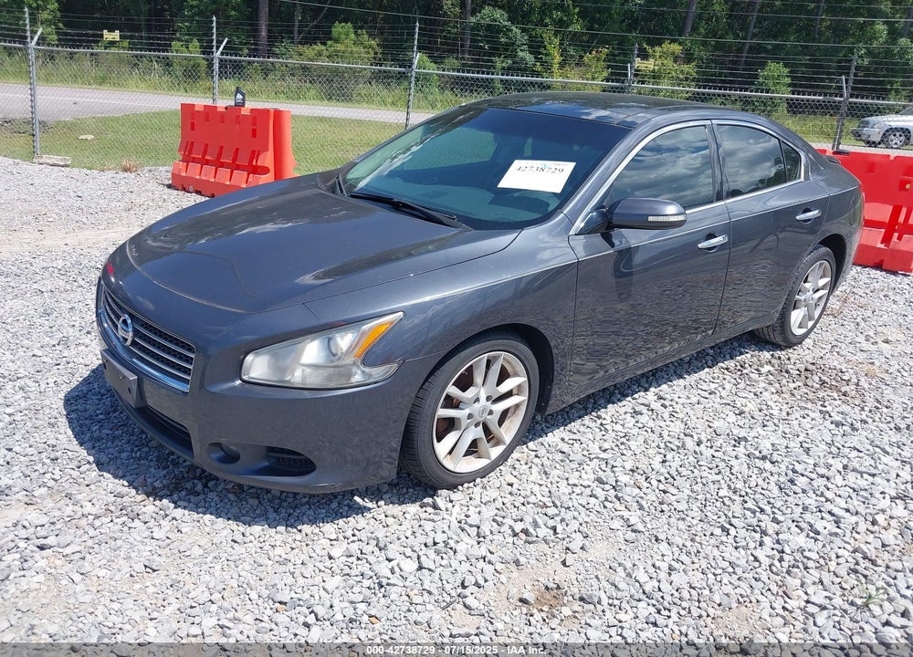 2010 NISSAN MAXIMA VIN: 1N4AA5APXAC829674