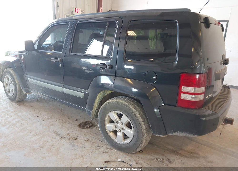 2010 JEEP LIBERTY VIN: 1J4PN2GK9AW132458