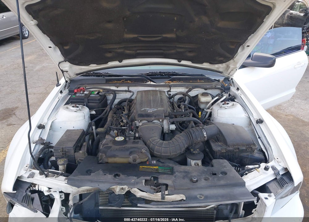 2007 FORD MUSTANG VIN: 1ZVHT85HX75318578